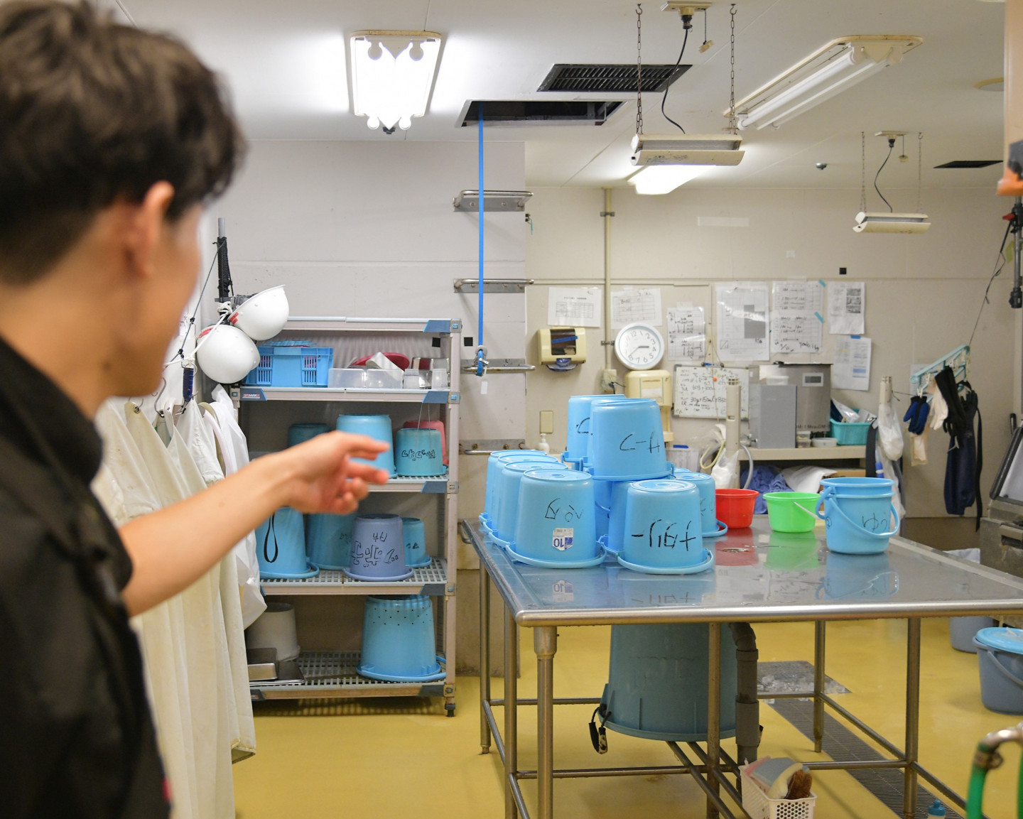 魚たちの給食室ともいえる部屋。コチラでそれぞれの魚に合った餌をつくっている。2/2画像