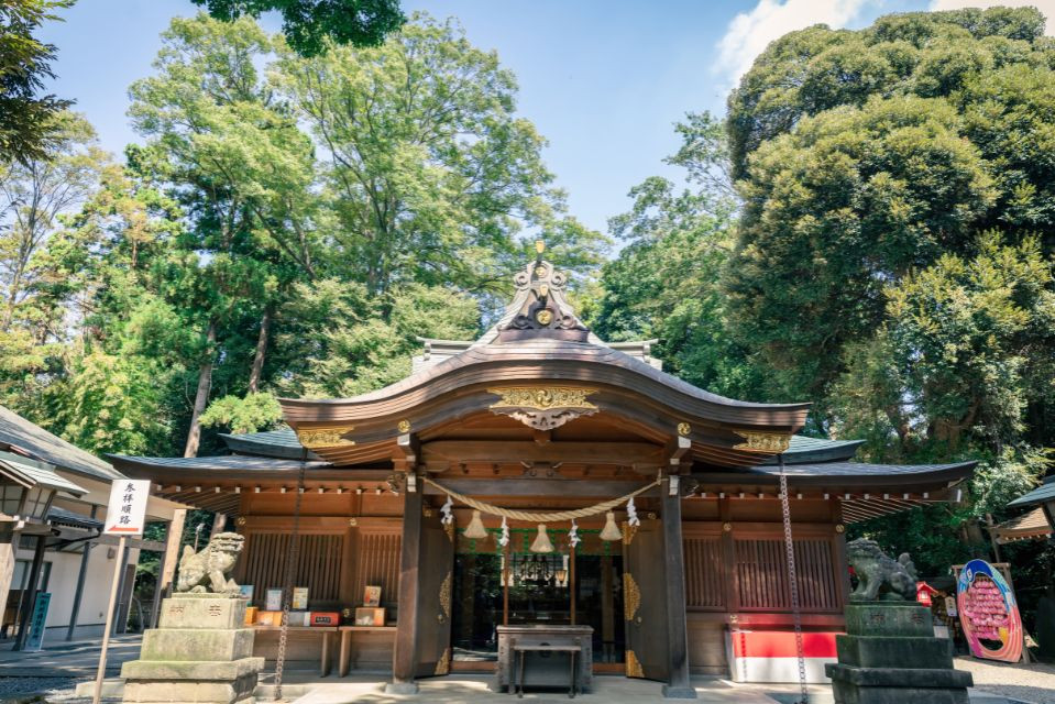 クイズの聖地でひらめきUP！美しい孔雀が邪気を払う久伊豆神社（埼玉県・さいたま市）の強力ご利益【学びビトに聞いたおススメ神社 ＃10】