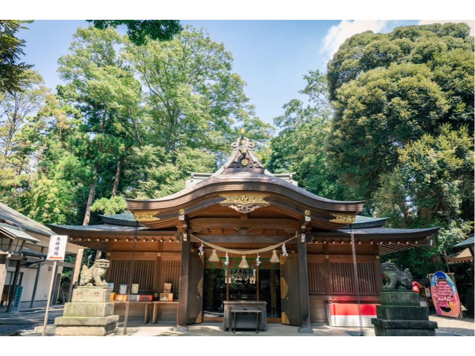 強力ご利益でひらめきUP！クイズの聖地・久伊豆神社【学びビトに聞いたおススメ神社 ＃10】